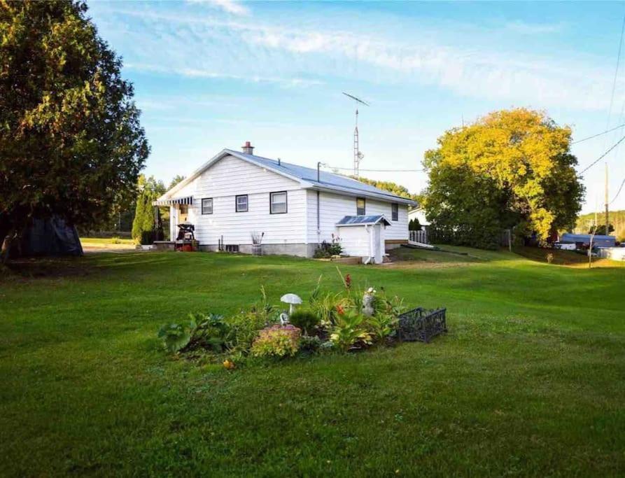 Private Cottage With Huge Private Dog Park! Barrys Bay Eksteriør billede